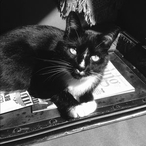 Meet your Posher, Beth